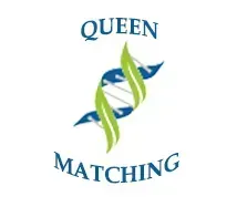 Logo de Quieen Matching